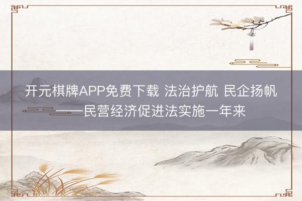 开元棋牌APP免费下载 法治护航 民企扬帆——民营经济促进法实施一年来